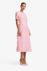 Caroline Lace Short Sleeves Midi Dress - Blush Pink